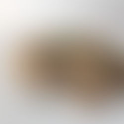 PASTA WITH TUNA SAUCE