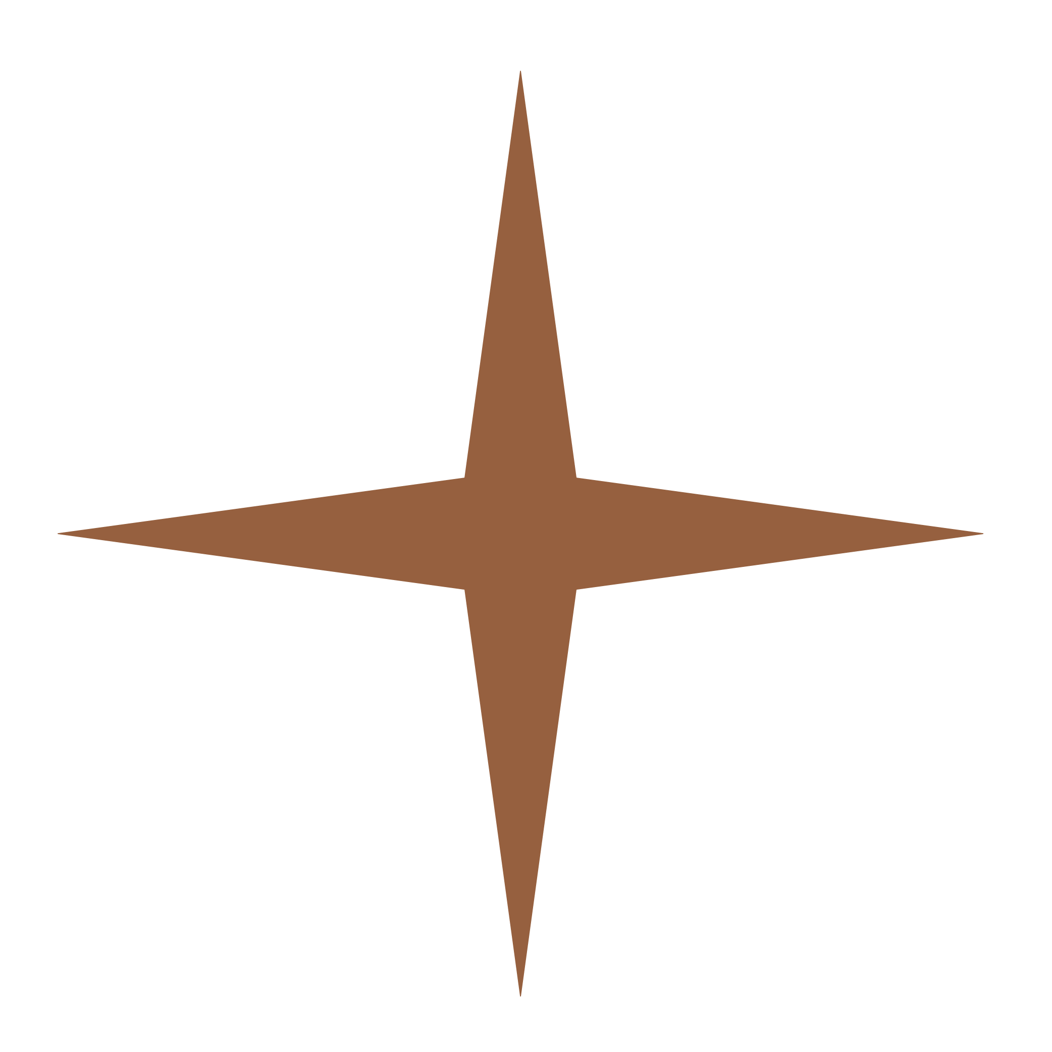 JoyceMetternich_Coaching_Star.png