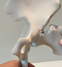 Hip Model Video - CAM2 Pic.jpg
