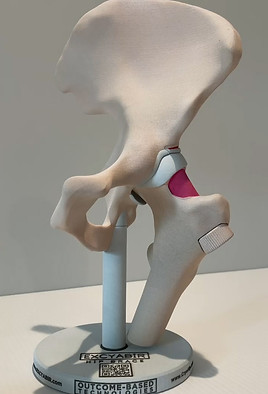 Hip Model Video - Main Pic.jpg