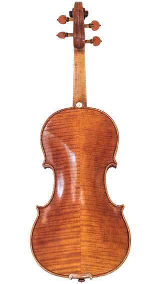 back side of a spruce & maple violin