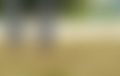 މަރުގެ މަލާއިކަތާ ފެނުނަސް އެދުވަހު ކުރެވޭނެ ކަމެއް ނޯންނާނެ