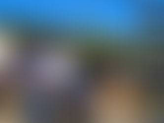 Buena Vista Parade and Rally