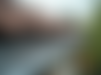 Choosing Gutter Cleaning Services: How to Pick the Best for Your Property