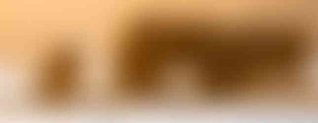 Herde Wisente an einer Fütterungsstelle