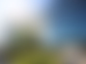 Net Leases for Commercial Property