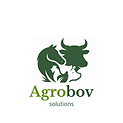 Logo Agrobovsolutions (2).png