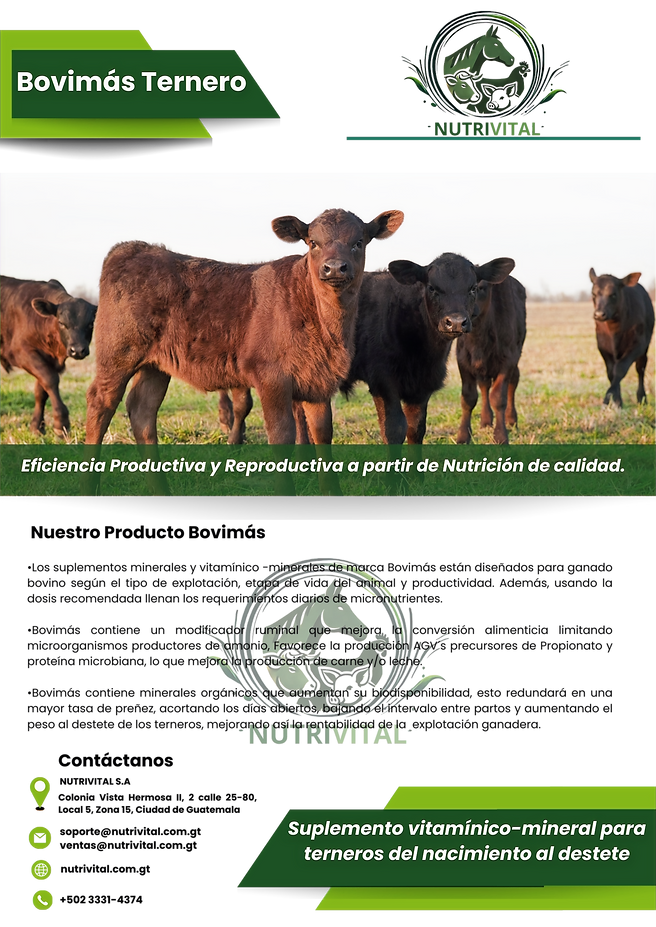 Bovimás Leche (2)_edited.png