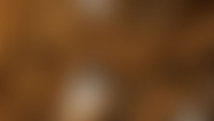 Cinnamon sticks scattered on a white surface, showing a warm brown color and texture.