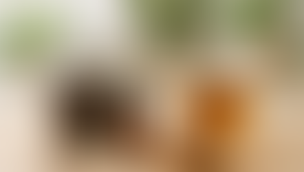 Jar of cloves, brown bottle, pills in bowl, and steaming clove tea on wooden table. Green plants in blurry background. Cozy setting. Herbpy Blog.