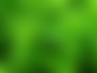 Close-up of vibrant green peppermint leaves displaying textured patterns, creating a fresh and lush appearance. No text or additional objects.
