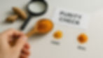 Hand holding turmeric on spoon, magnifying glass, and text "PURITY CHECK" on table. Two piles labeled "FAKE" and "REAL." Beige background. Herbpy Blog.