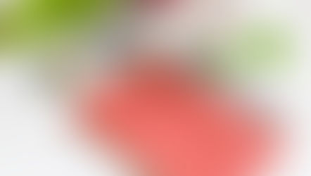 Glasses, a red patterned notebook, and a pen rest on a white table. Ginkgo Biloba tree, green Ginkgo Biloba leaves, and a pink candle create a calm setting. Source: Canva