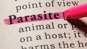 The word "Parasite" is highlighted in pink with a pink marker on a page. The text is in bold, creating a focused, educational mood.