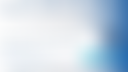 재무 보고: 재무 관리 및 위험 방지 경험