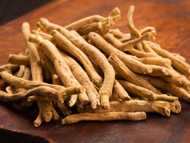 Ashwagandha root harvested in India for Ayurvedic wellness.