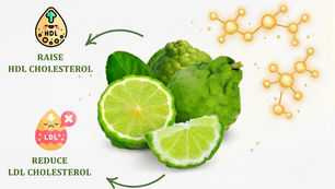 Green bergamot fruit with arrows showing it raises HDL and reduces LDL cholesterol. Orange molecular symbols in background. Infographic text elements display keywords: citrus bergamot supplement, bergamot supplement, citrus bergamot benefits, Herbpy, Herbpy Supplement. Clean scientific style with white background, green and golden accents