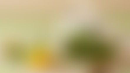 Steaming cup of tea with dandelions, basil, root, and spoon of green powder on a beige cloth. Calm and earthy setting.