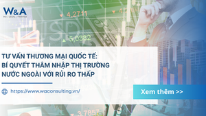 Tư vấn thương mại quốc tế: Bí quyết thâm nhập thị trường nước ngoài với rủi ro thấp