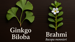 Ginkgo and Brahmi: Natural Brain Boosters for Memory, Focus, and Clarity