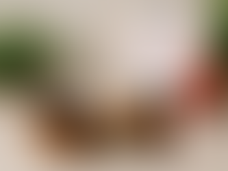 Bowl of cloves, jar of powder, and amber bottle sit on table. Kidney model, kidney diagram, and plants in background. Calm setting. Herbpy Blog.