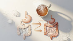 Diagrams of digestive systems with arrows between them, next to a steaming cup of hot tea, ice cubes, and scattered salt on a white surface.