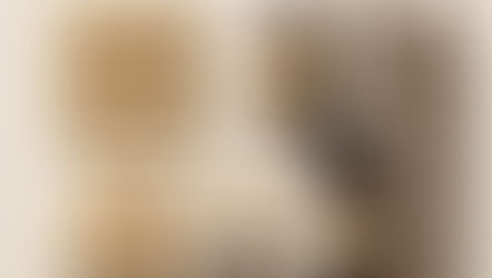 Clove capsules, tablets, and whole cloves are arranged alongside two amber bottles labeled "CLOVE" on a beige background.