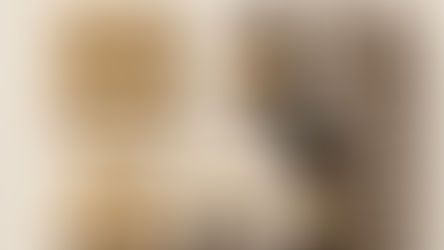 Clove capsules, tablets, and whole cloves are arranged alongside two amber bottles labeled "CLOVE" on a beige background.