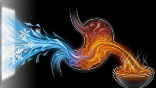 Stylized image of a stomach processing cold blue air from a window, turning it into warm orange liquid flowing into a steaming bowl.