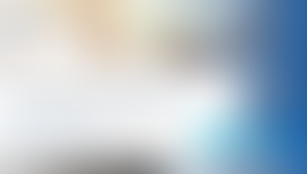 기업 인수합병 후 단계의 위험 요소