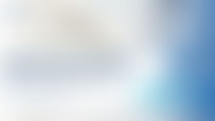 Financial Fraud in Enterprises: Effective Control Solutions and Strategic Objectives