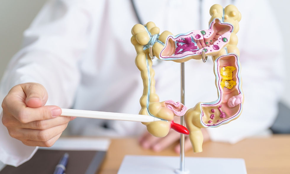 Hand pointing to a colorful intestine model with a pen in a medical setting, suggesting an educational or explanatory moment. Peppermint for Digestive Comfort