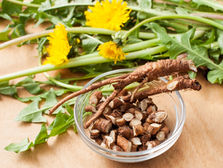 Dandelion plants with yellow flowers and green leaves lie on a table; a glass bowl holds sliced, brown dandelion roots. Natural setting. Source: Canva.