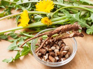 Dandelion plants with yellow flowers and green leaves lie on a table; a glass bowl holds sliced, brown dandelion roots. Natural setting. Source: Canva.