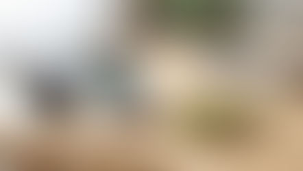 Cardamom capsules and green cardamom pods beside a blood pressure monitor on a clean desk.