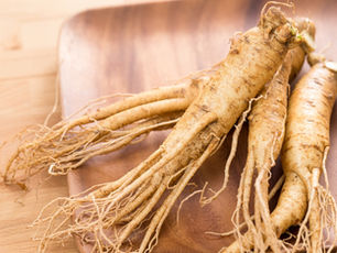 Fresh ginseng roots on a wooden plate, resting on a light wood table. The roots are tan with thin, string-like tendrils. Source: Canva