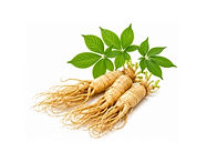 Ginseng.jpg