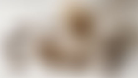 White bottle spills brown clove capsules and cloves on a light surface, creating a natural, clean aesthetic with warm tones.