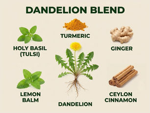 Dandelion Root Blends: What Research Says About Turmeric, Ginger, Cinnamon, Lemon Balm, and Holy Basil