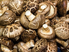 A close-up of a pile of shiitake mushrooms with textured brown caps and white stems. They are layered in a market setting.