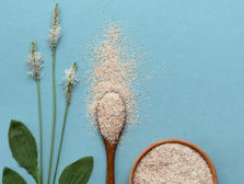 A wooden spoon and a small bowl filled with psyllium husk powder, placed on a light blue background, accompanied by green leaves and white plantain flower spikes. Source: Canva