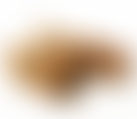 A bundle of dried Ceylon cinnamon sticks tied together with a piece of rough twine. Ceylon cinnamon sticks are rolled into tight, cylindrical shapes with a warm brown color, and some are loosely scattered around the bundle. Source: Canva.