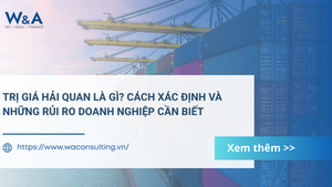 Trị giá hải quan là gì? Cách xác định và những rủi ro doanh nghiệp cần biết