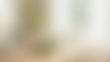 A wooden table with a leafy plant in a vase, a bowl of salad, and a jug of cucumber water. Sunlight streams in through sheer curtains.