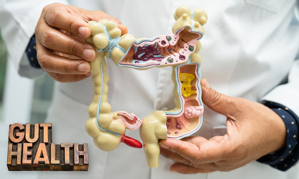 Hands hold a detailed anatomical model of the human colon. "GUT HEALTH" text in bold letters is visible. Background is a white lab coat.