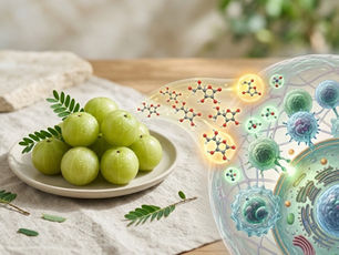 Fresh amla fruit and amla powder for antioxidant and immune support