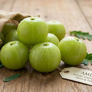 Every Name of Amla Explained