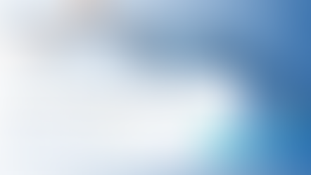 비즈니스 전략 조정에서의 회계 보고서