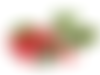 Berberine (Red berries) green leaves on a white background. The bright Berberine are clustered, with the green leaves
