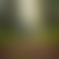 9 Consells per Fer Esport a l'Aire Lliure Sense Deixar Petjada